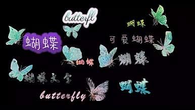 小清新可爱的蝴蝶字幕条模板视频的预览图